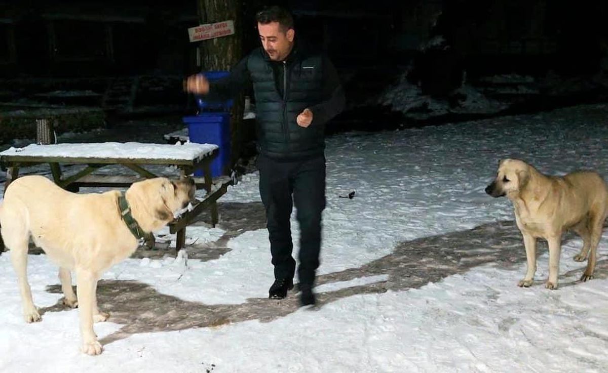 AK Gönüller sokak hayvanlarını unutmuyor