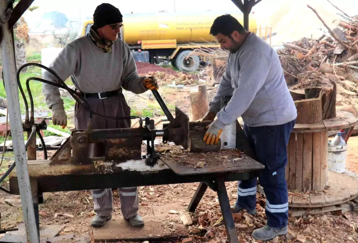 Budanan ve kesilen ağaçlar ihtiyaç sahiplerinin evlerini ısıtıyor