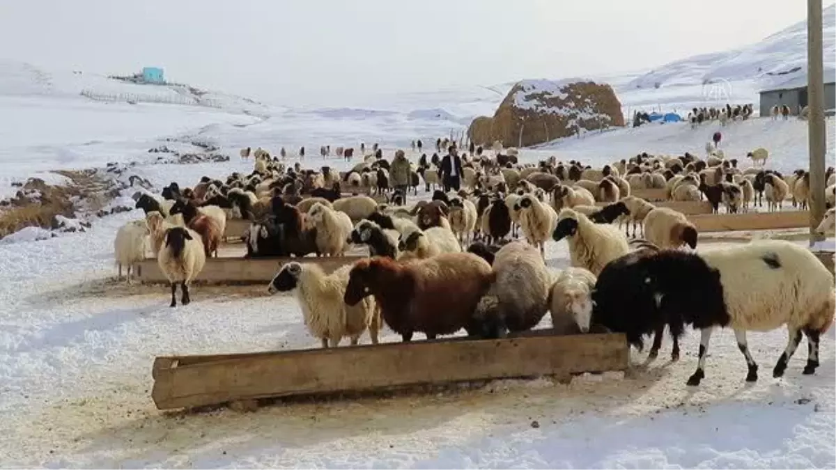 Devlet desteğiyle iş sahibi olan eski hükümlüler geleceğe umutlu bakıyor