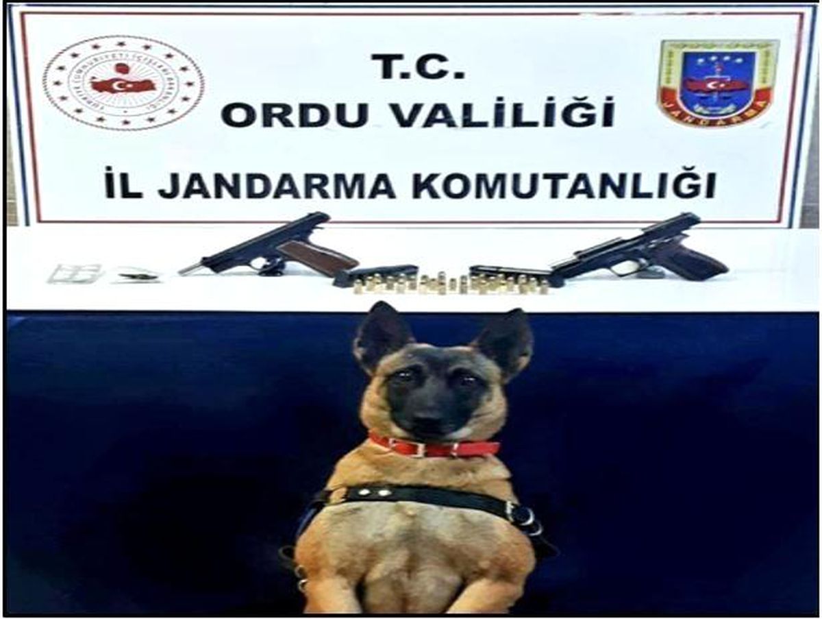 Jandarma ekiplerinden uyuşturucu operasyonu: 2 gözaltı