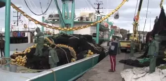 Kar yağdı balık lezzetlendi