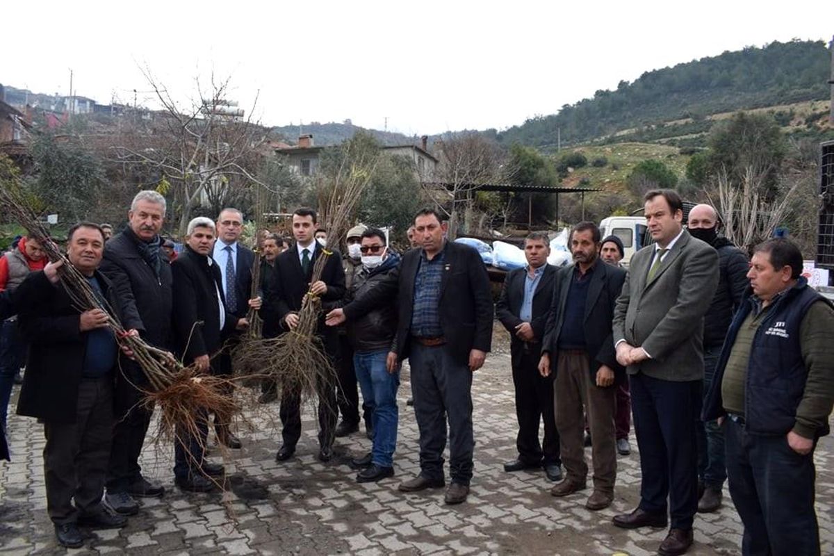 Karacasu\'da yangın bölgesine milyonluk destek