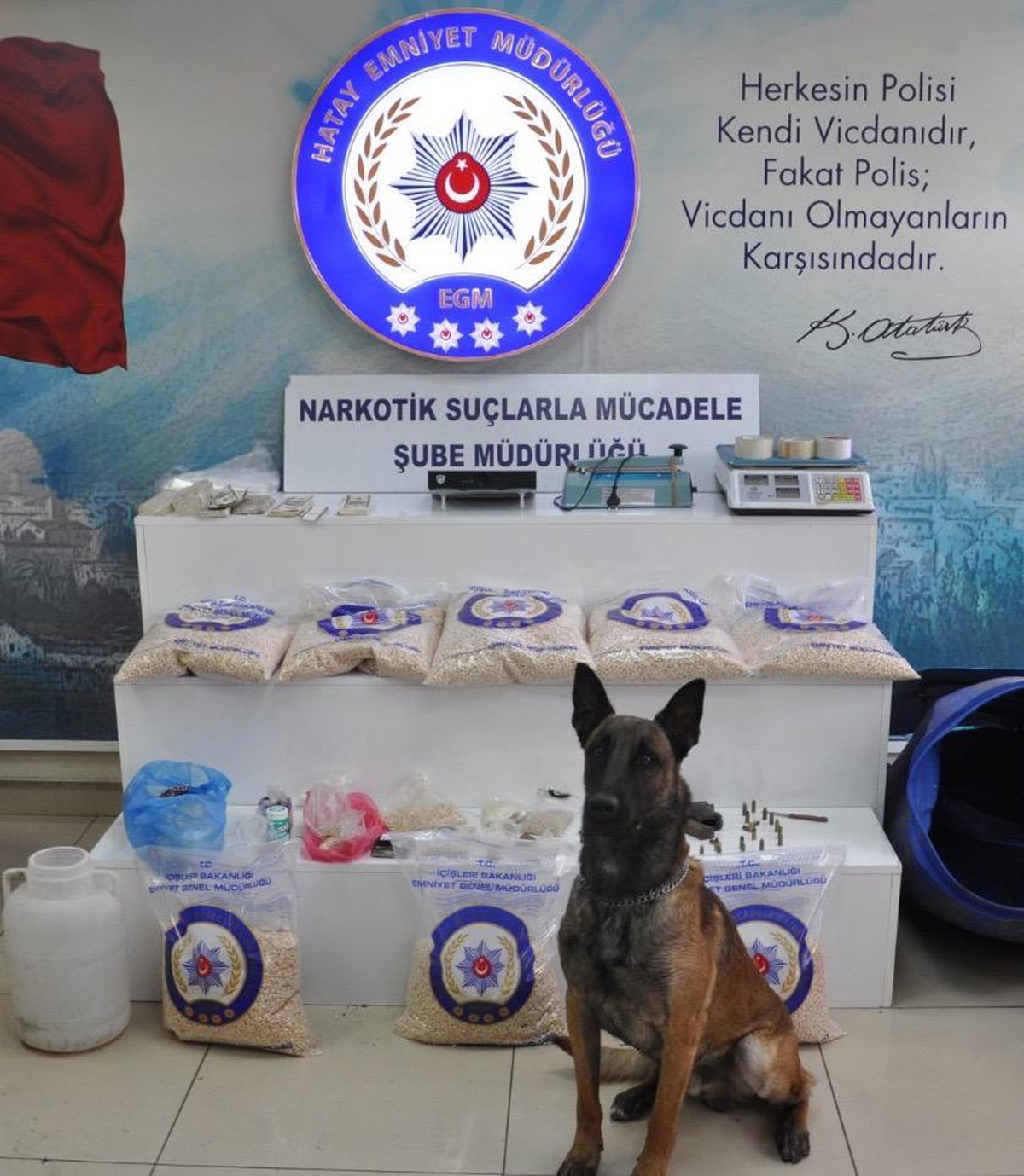 Ödüllü narkotik köpeği "Rüzgar" uyuşturucuya geçit vermiyor