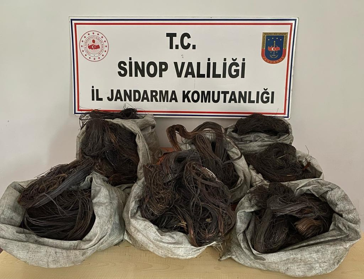 Son dakika haberi! Sinop\'ta kablo hırsızlığı operasyonunda 3 zanlı yakalandı