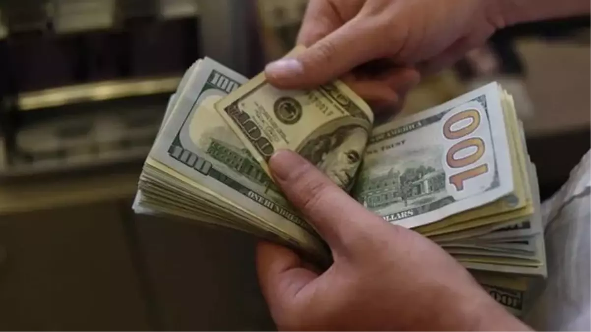 Son Dakika: Merkez Bankası\'ndan kur korumalı mevduat için ilk rakam