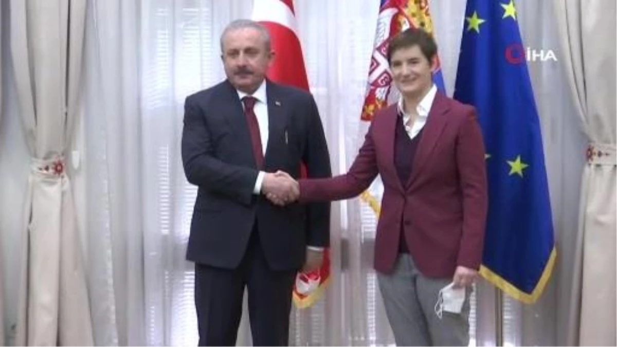 Son dakika haberi | TBMM Başkanı Şentop, Sırbistan Başbakanı Brnabiç ile görüştü