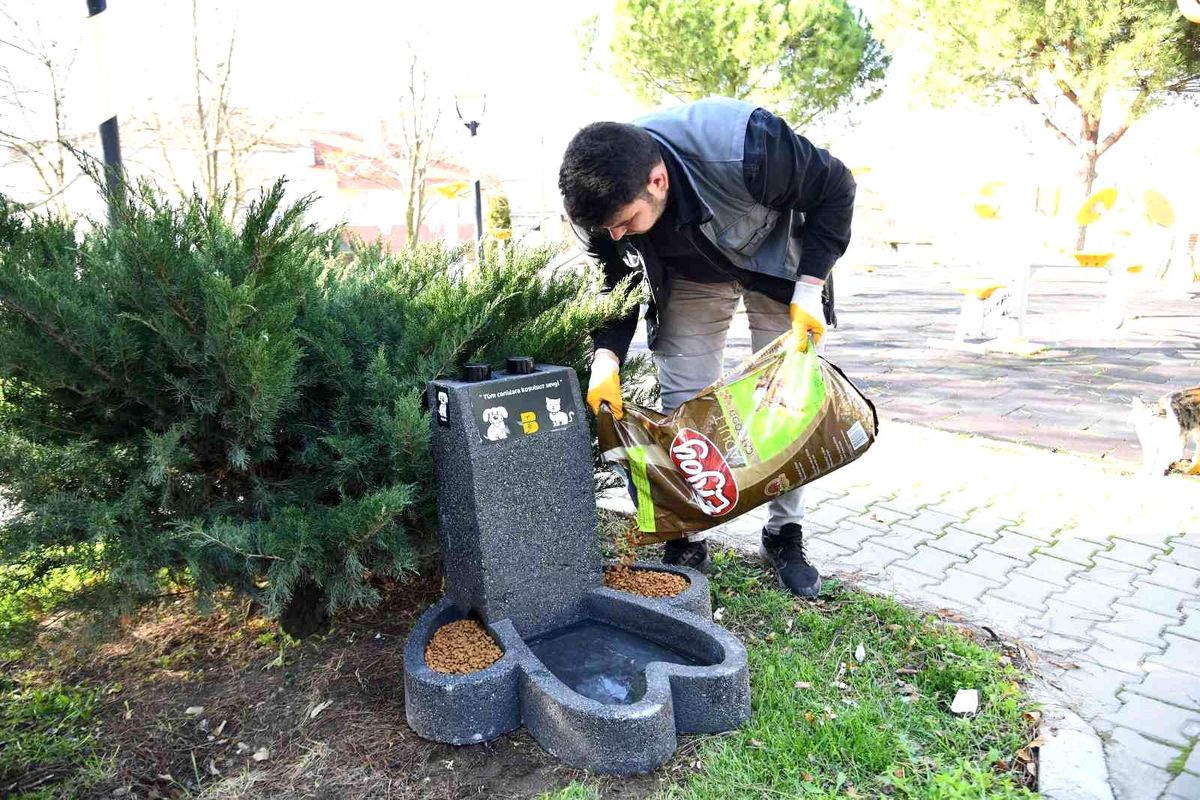 Can dostların mamaları \'patiler\' sayesinde ıslanmayacak