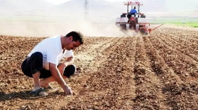 Doların düşmesi sonrası çiftçinin beklediği haber geldi! Gübre fiyatları yüzde 22 düştü