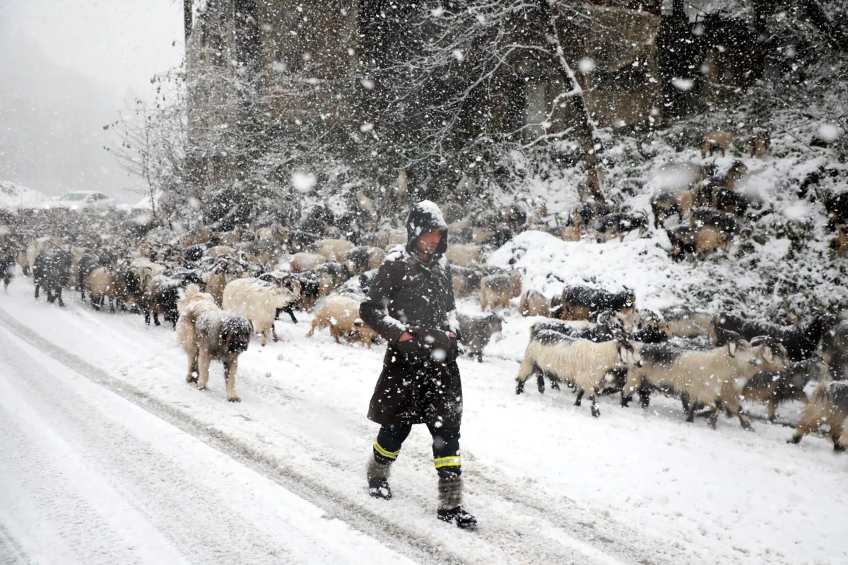 Rize\'de kar yağışı nedeniyle 283 köy yolu ulaşıma kapandı