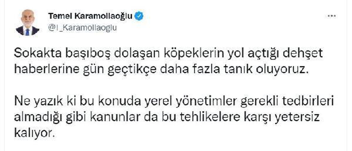 Karamollaoğlu\'ndan başıboş dolaşan köpekler için \'önlem\' çağrısı