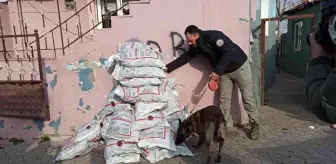 Son dakika haberi... Keşan'da 150 polisle asayiş uygulaması: 7 gözaltı