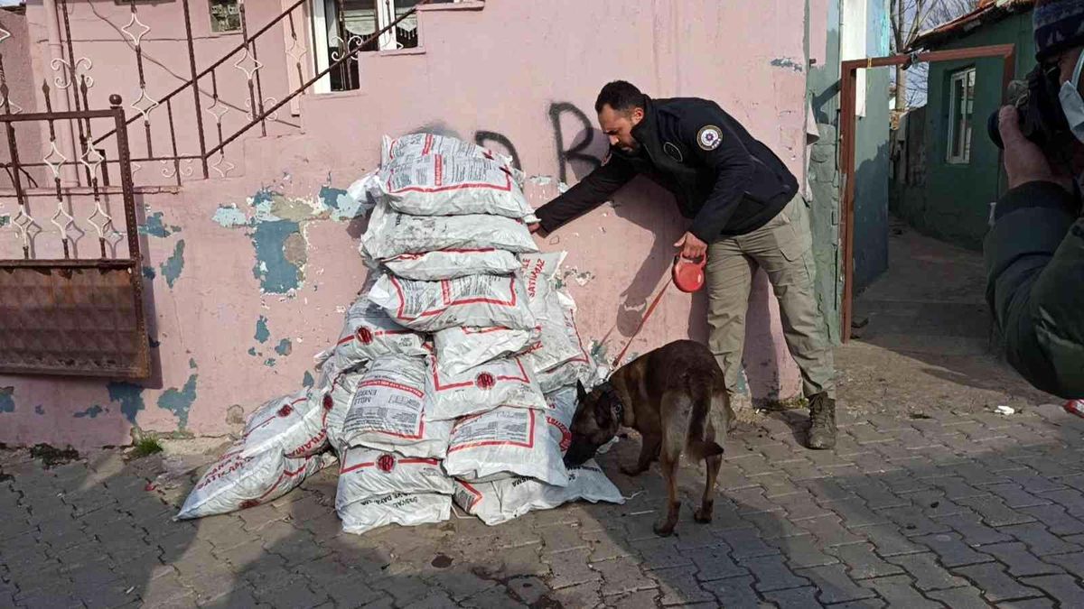 Son dakika haberi... Keşan'da 150 polisle asayiş uygulaması: 7 gözaltı