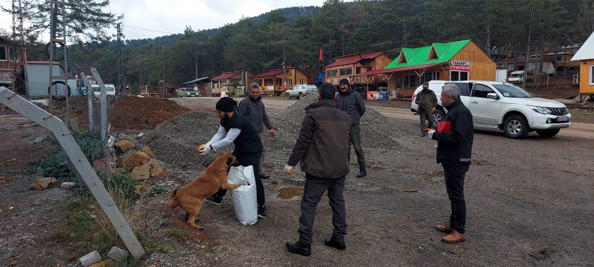 Osmaniye\'de sokak ve yaban hayvanları için mama ve yem bırakıldı