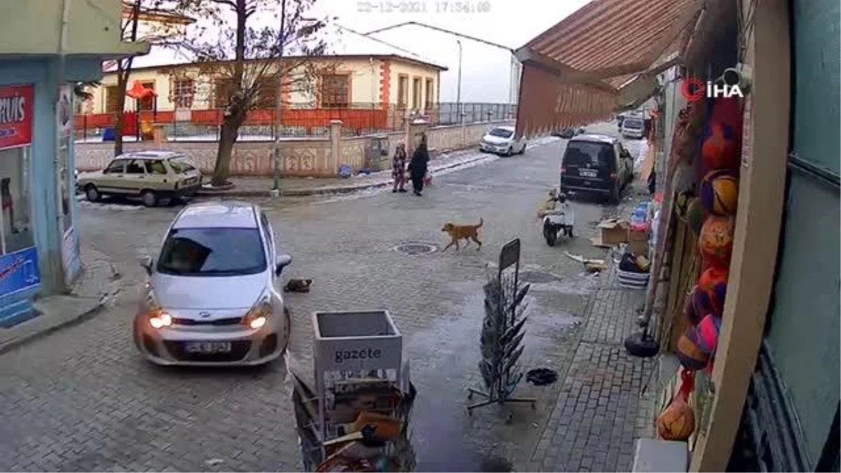 Otomobilin yavru köpeği ezdiği anlar saniye saniye görüntülendi