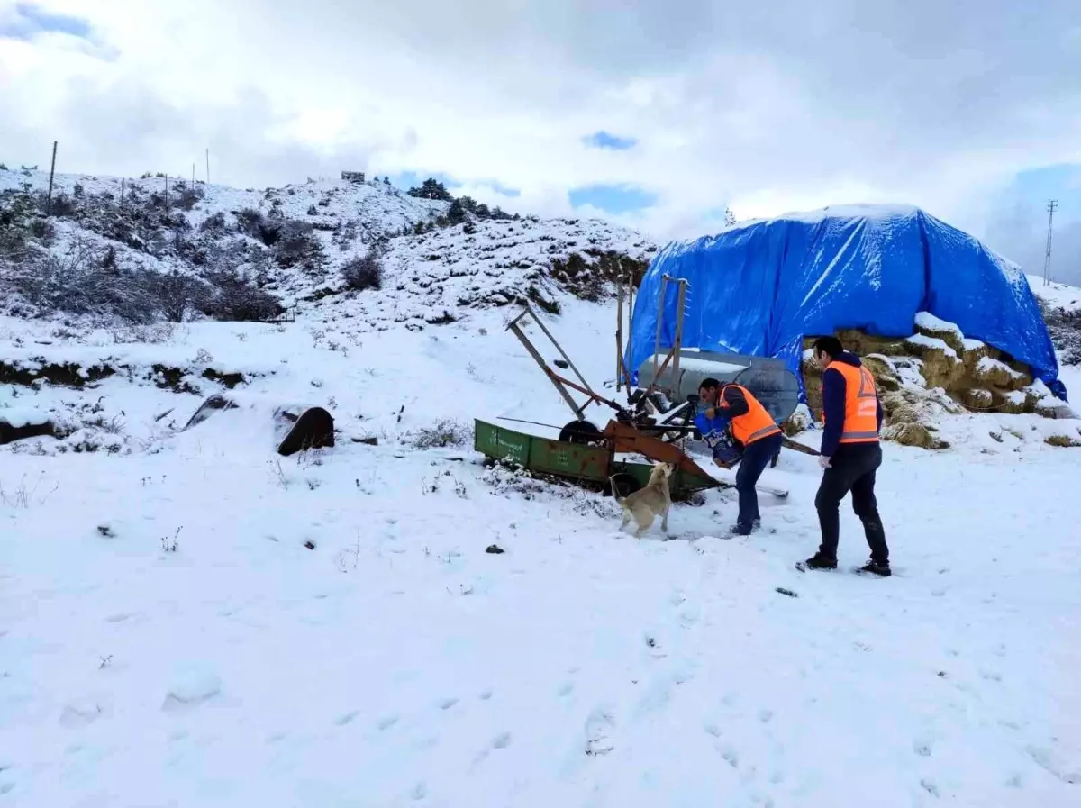 Şefkatli ellerden sokak canlılarına kış yiyeceği