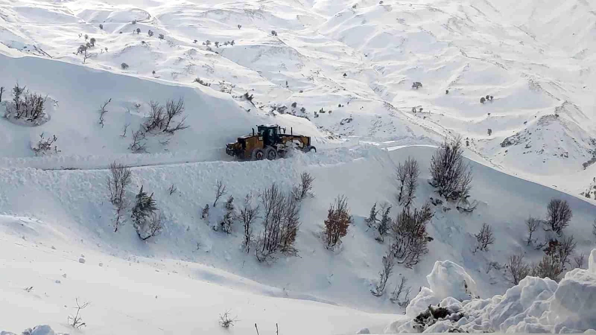 Siirt\'te kar ve tipi nedeniyle kapanan 41 köy yolu ulaşıma açıldı