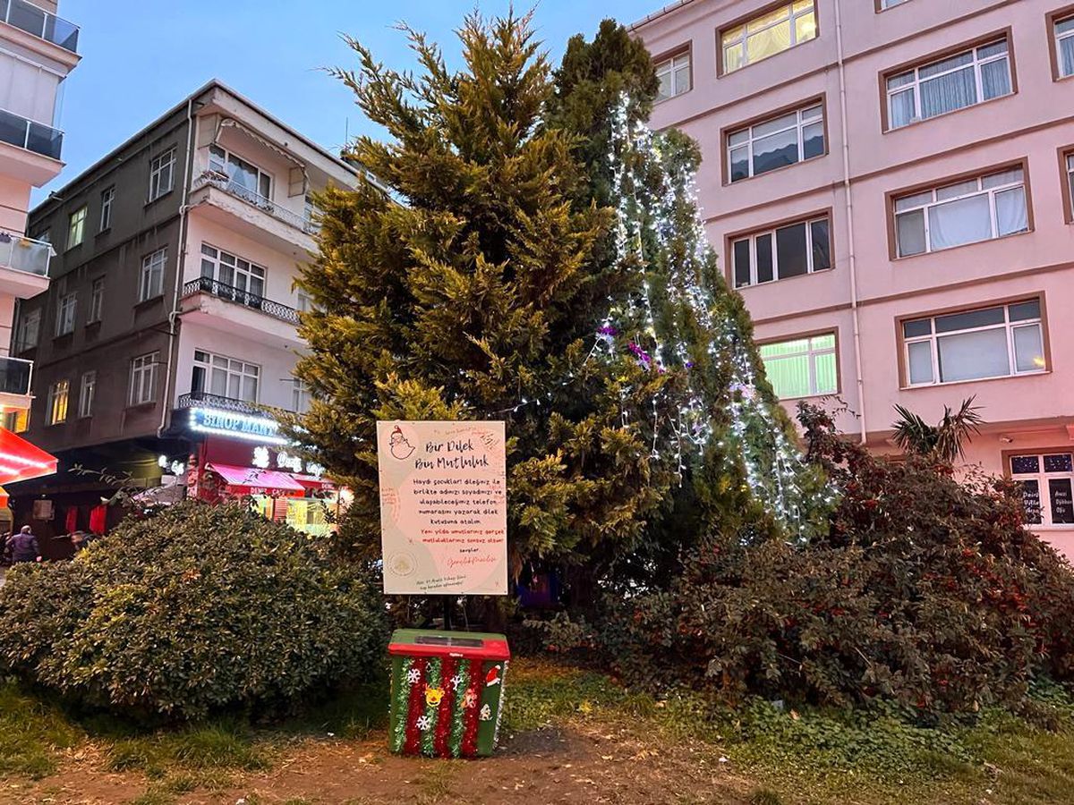 Sinoplu çocukların dilekleri gerçek olacak