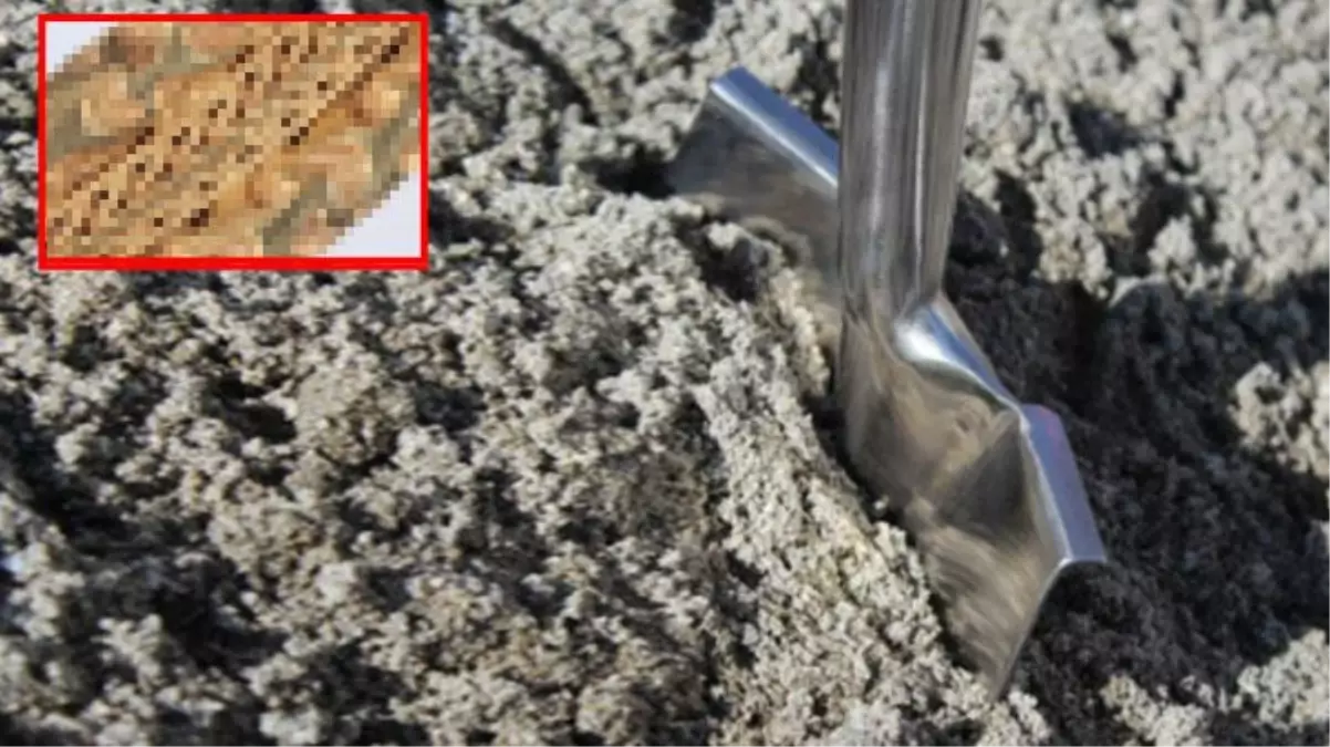 Toprağa vurdukları kazmayı geri çekemeyen kazı ekibi, çıkan maddeyi görünce sevinçten ağladı