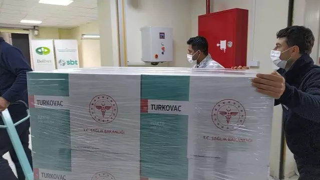 Türkiye'nin yerli ve milli aşısı Türkovac'ta ilk sevkiyat yapıldı