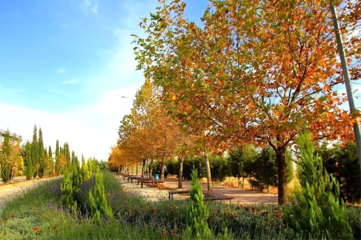 7 Aralık Üniversitesi Greenmetric Dünya Üniversiteleri sıralamasında