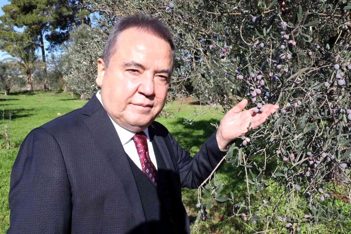 Başkan Böcek: "Zeytin Park\'ı korumak boynumuzun borcudur"