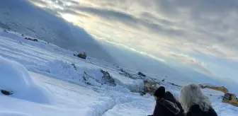 Beyaz örtüyle kaplanan Konya'da sokak hayvanları unutulmadı