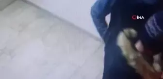 Çarşafla evden çıkarttıkları kasayı, çöp konteynırıyla götüren hırsızlar kamerada