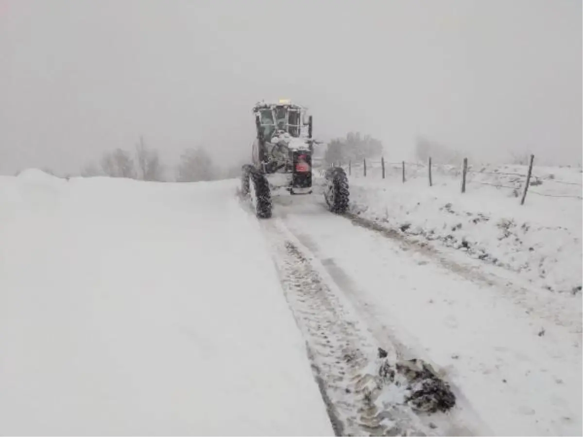 Doğu Karadeniz\'de kar esareti; 366 yol kapandı