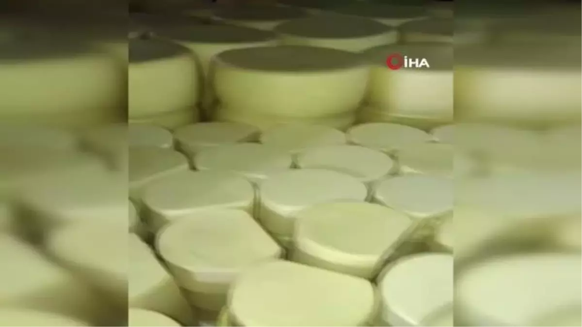 Sivas'ta 2 tona yakın kaçak kaşar peynir ele geçirildi