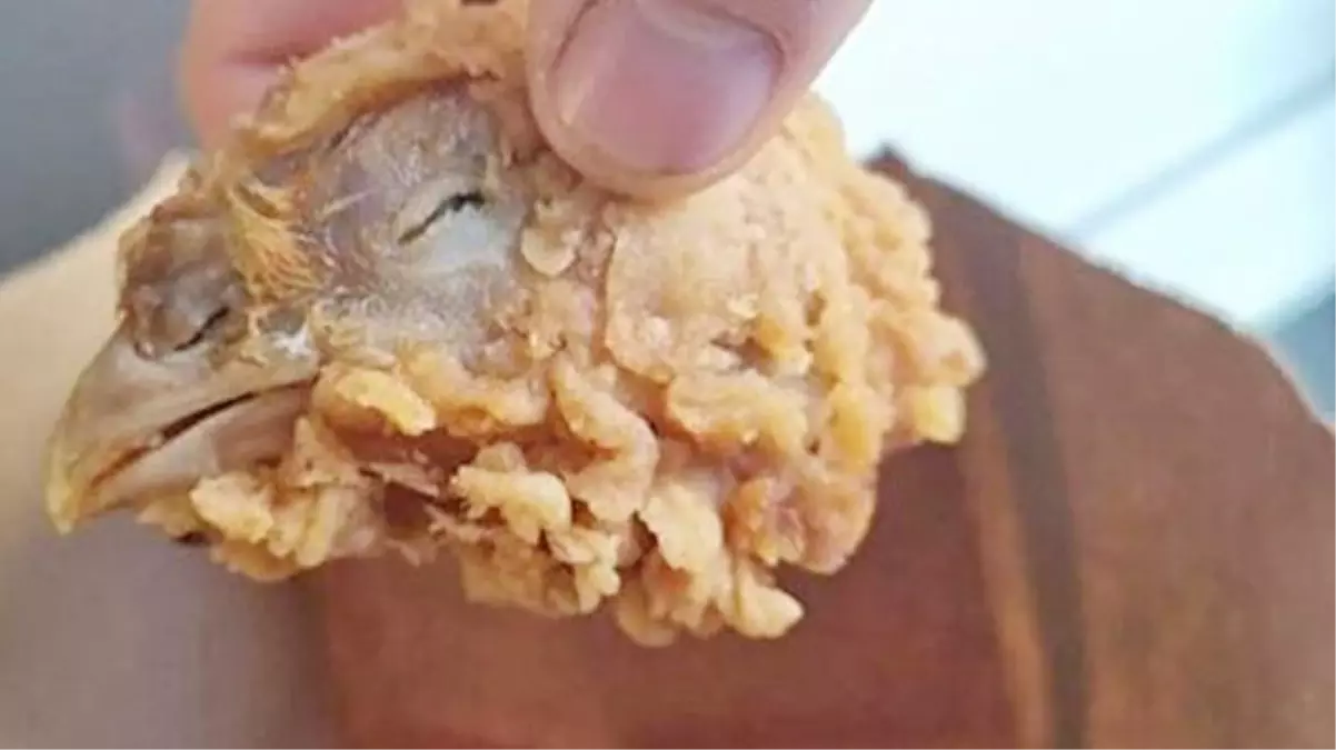 Ünlü fast-food zincirinde skandal olay! Kovadan pişmiş tavuk kafası çıktı