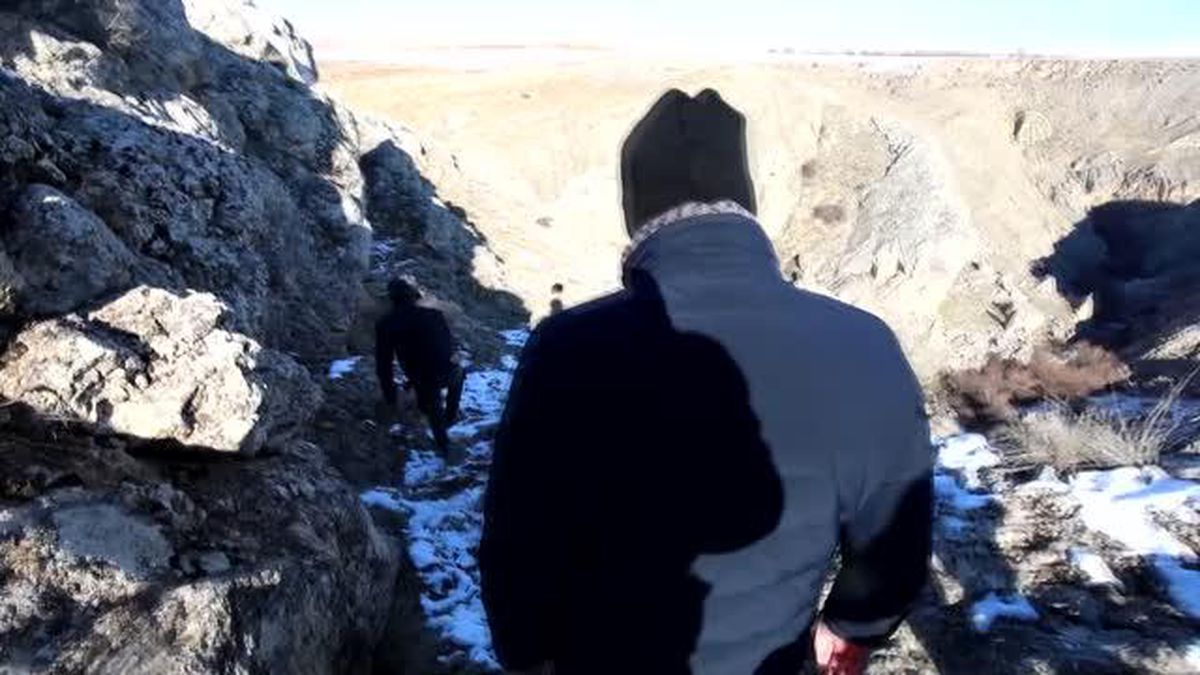 Yaban hayvanları için doğaya yem bırakıldı