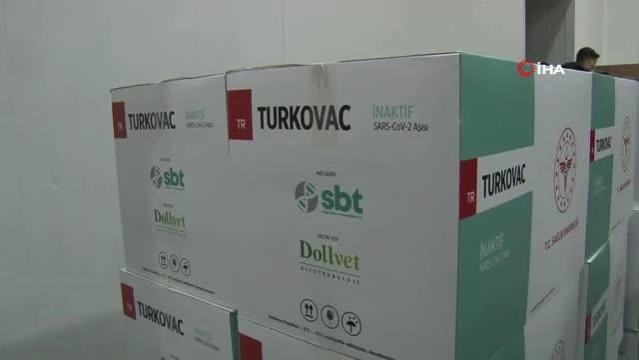 Yerli aşı Turkovac'ın ilk sevkiyatı gerçekleştirildi