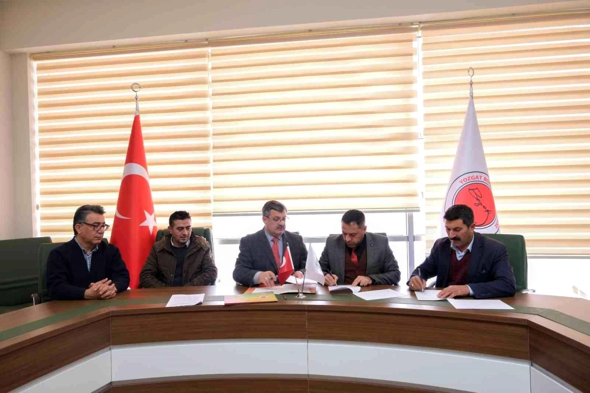 Yozgat'ta manda sütü markalaştırılacak