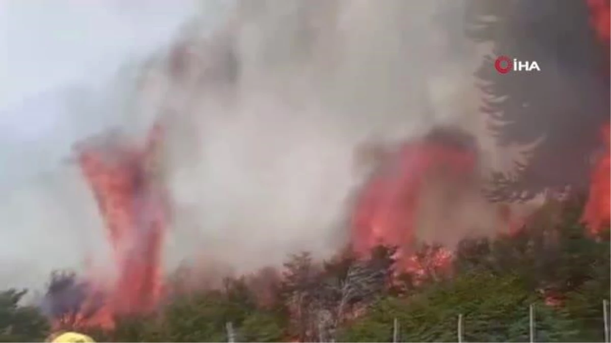 Son dakika haber: Arjantin\'deki orman yangınlarında 3 bin 900 hektarlık alan kül oldu