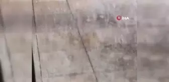 Avustralya'yı dolu yağışı vurdu