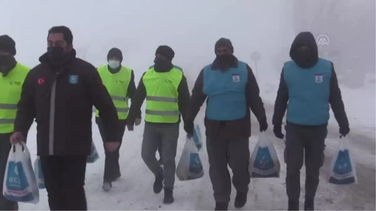 Beşir Derneği gönüllüleri sokak hayvanlarını unutmadı