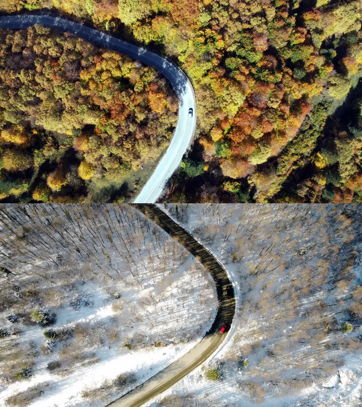 Bolu'daki ormanlarda iki mevsim tek karede birleşti