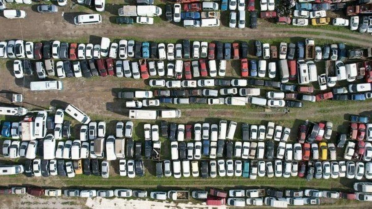 Çürümeye terk edilen otomobiller! Değerleri milyonları buluyor