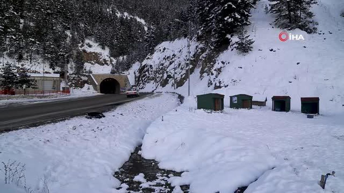 Gümüşhane'de sokak hayvanlarına şefkat eli