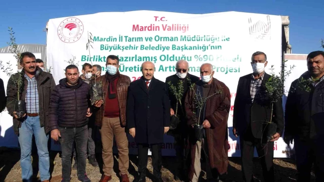 Mardin'de çiftçiye 750 bin fidan dağıtıldı