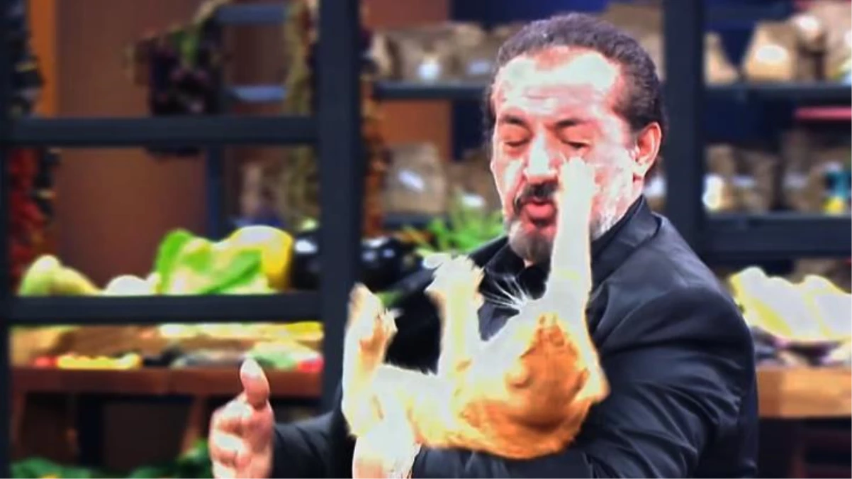 MasterChef Türkiye\'nin 142. bölümde kedi saldırısı: Mehmet Yalçınkaya, kedinin saldırısına uğruyor