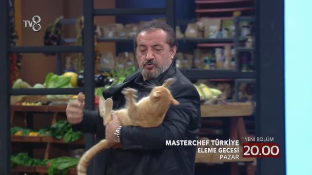 MasterChef Türkiye'nin 142. bölüm fragmanı yayınlandı! Mehmet Yalçınkaya, kedinin saldırısına uğruyor