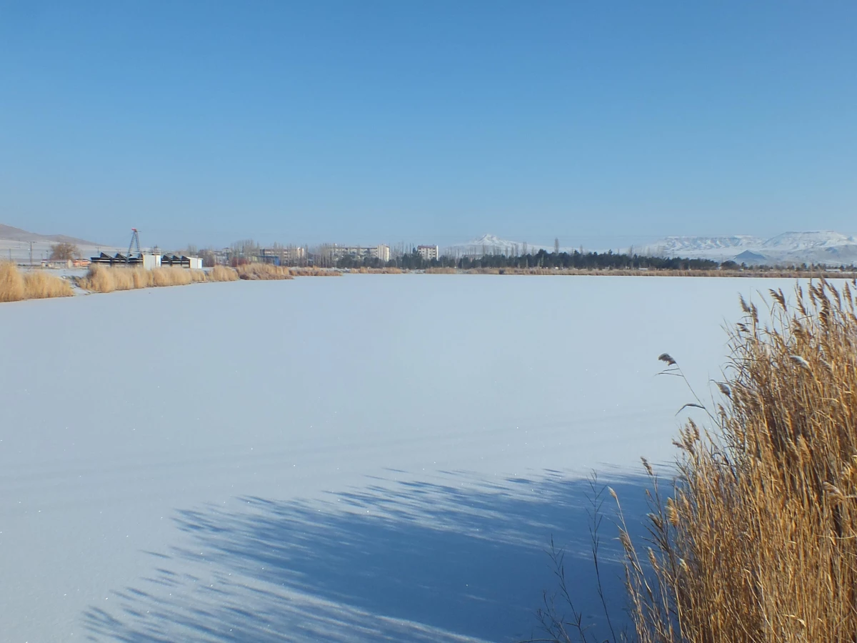Son dakika haber! Sivas\'ta Ulaş Gölü\'nün yüzeyi buz tuttu