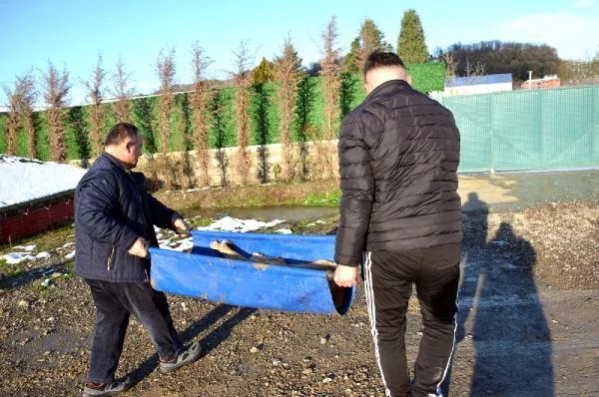 Yürek yakan manzara! Sokak köpeğinin gözlerini dağlayıp işkence ettiler