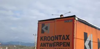 Dorsesine saklandıkları tırla Bulgaristan yerine Çanakkale'ye gittiler