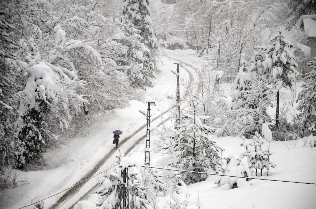 Kastamonu\'da kar nedeniyle 36 köye ulaşım sağlanamıyor