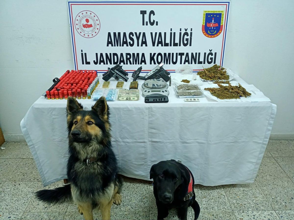 Amasya\'da uyuşturucu ticareti yaptığı iddiasıyla yakalanan zanlı tutuklandı