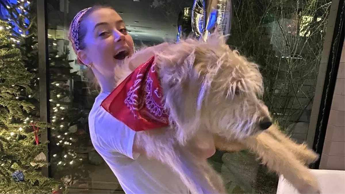 Amber Heard, yeni köpeğine tartıştığı Avustralyalı siyasetçinin ismini verdi