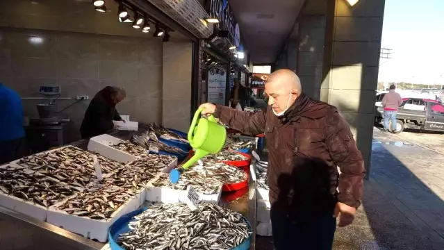 Balık sezonu bitmeden çoğu esnaf tezgahını şimdiden kapattı