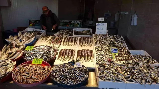 Balık sezonu bitmeden çoğu esnaf tezgahını şimdiden kapattı